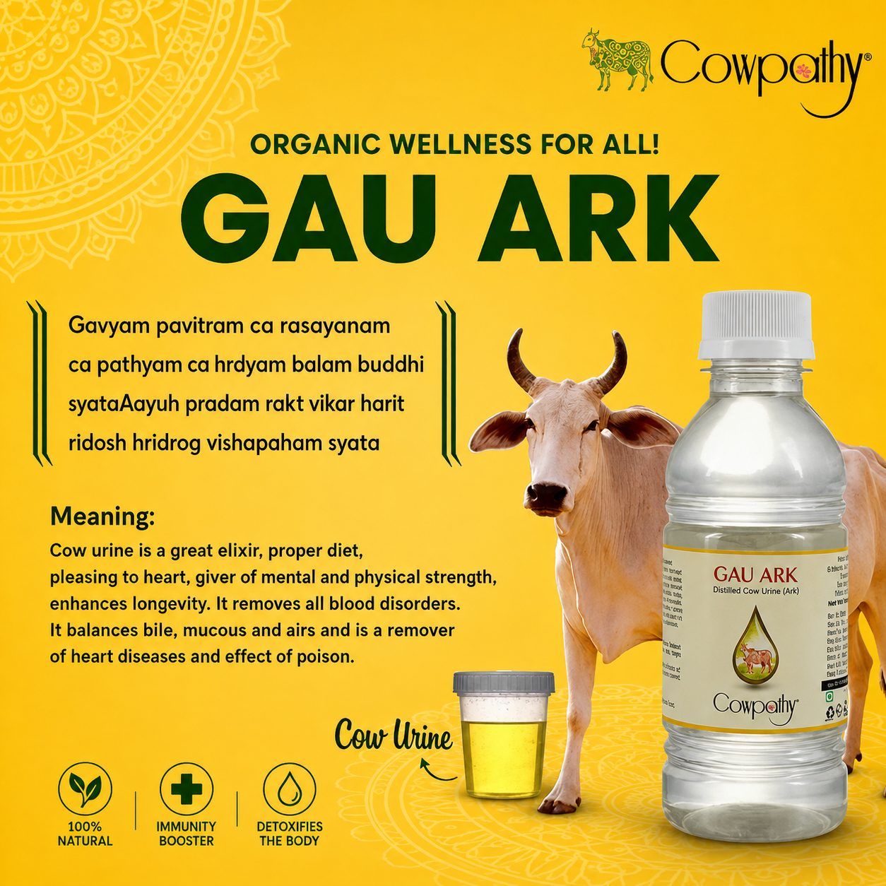 Distilled Cow Urine Ark 500ml