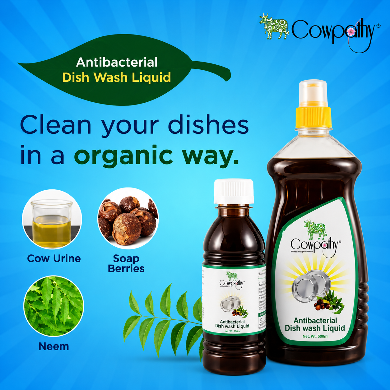 Labsa Free Dish Wash Liquid