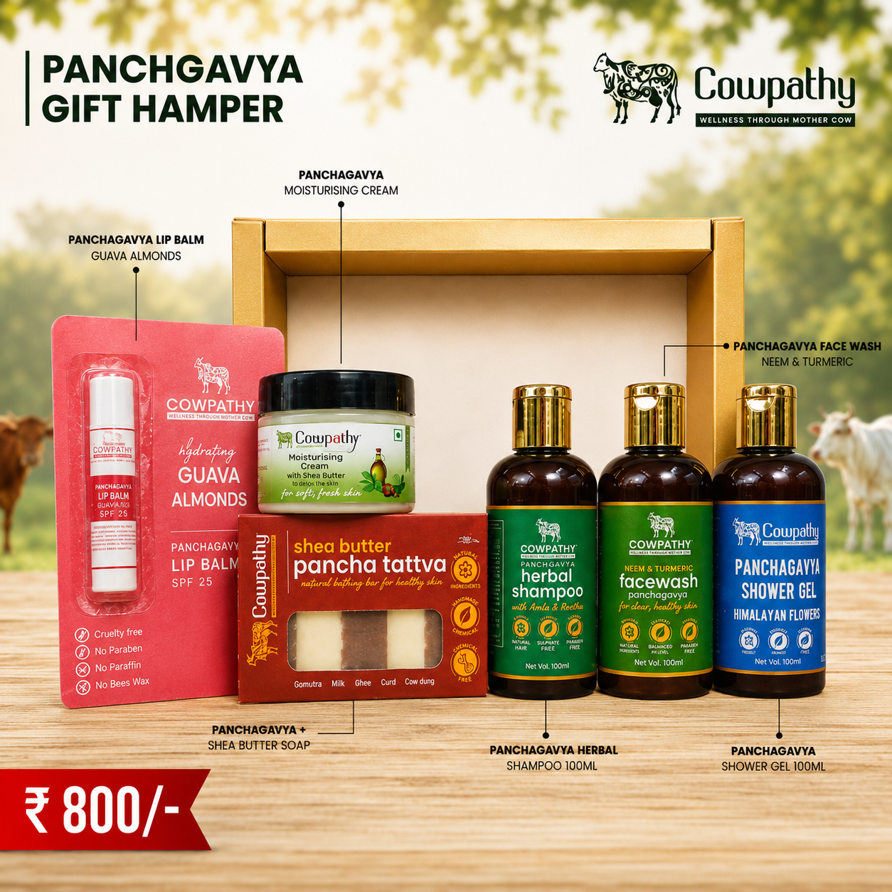 Panchgavya Gift Hamper
