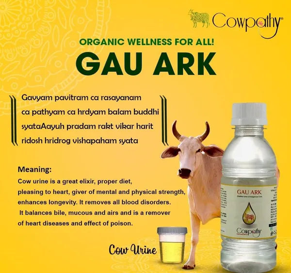 Distilled Cow Urine Ark 500ml – Cowpathy